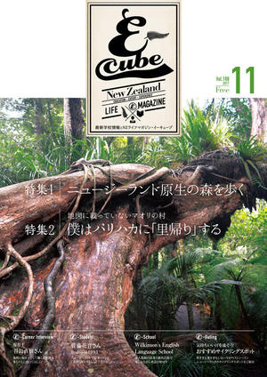 2017年11月号 (Vol.188)
