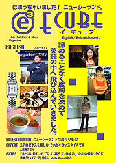 E-CUBE VOL.6