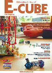 E-CUBE VOL.30