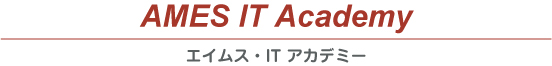 ニュージーランド/コンピュータ専門学校/AMES IT Academy(エイムス・IT・アカデミー)