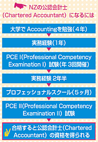 ニュージーランドへ留学、公認会計士を目指す