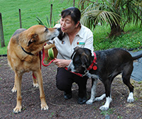 ワイタケレの森にある自宅で。愛犬、ゾラとアビーと