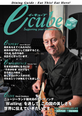 E-CUBE VOL66