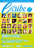 E-CUBE VOL71