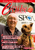 E-CUBE VOL71