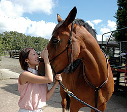 ニュージーランドで乗馬・豊村鮎美さん