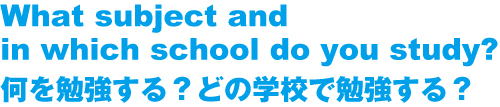 イーキューブの勧めるニュージーランド留学！何を勉強する？どの学校で勉強する？